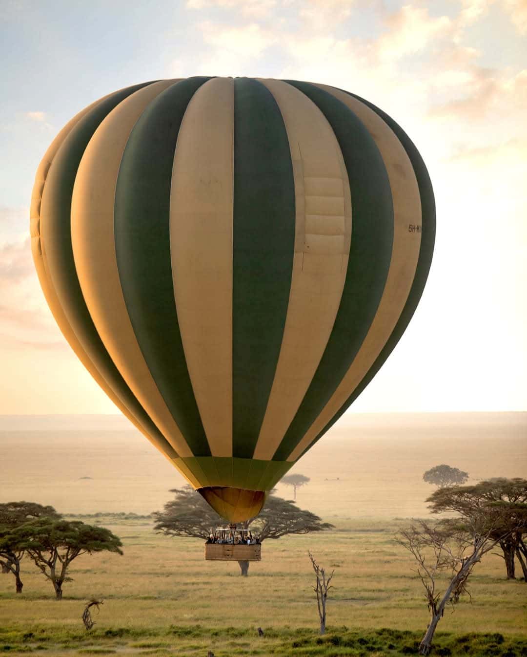 Hot air balloon over open savannah at sunset