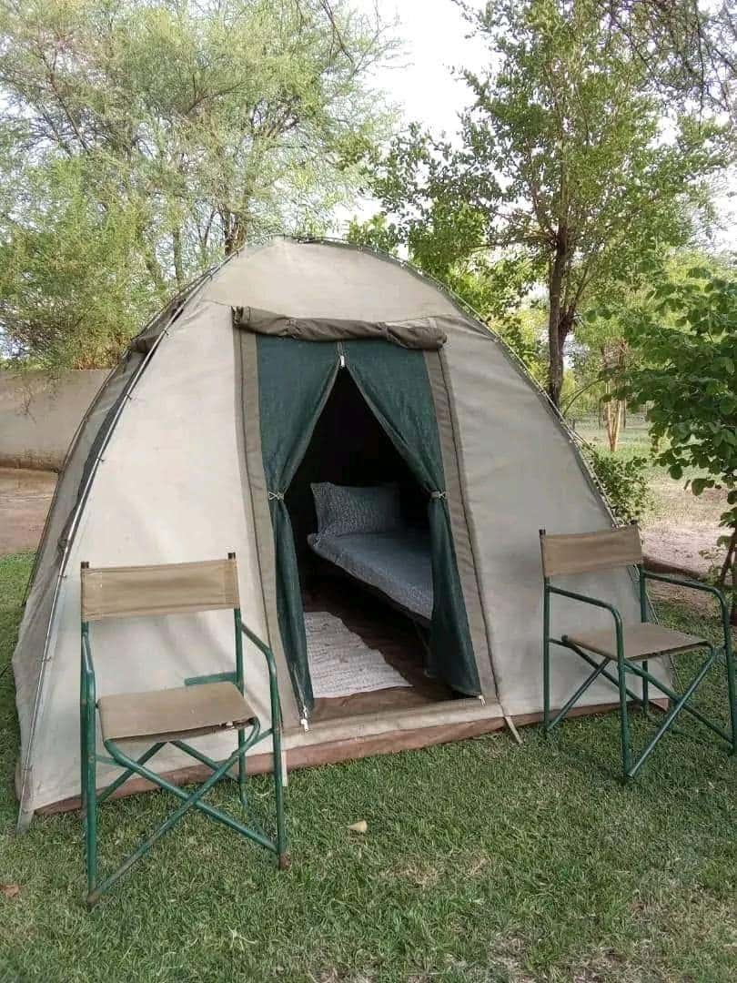 Simple canvas dome tent set in a wooded safari campsite