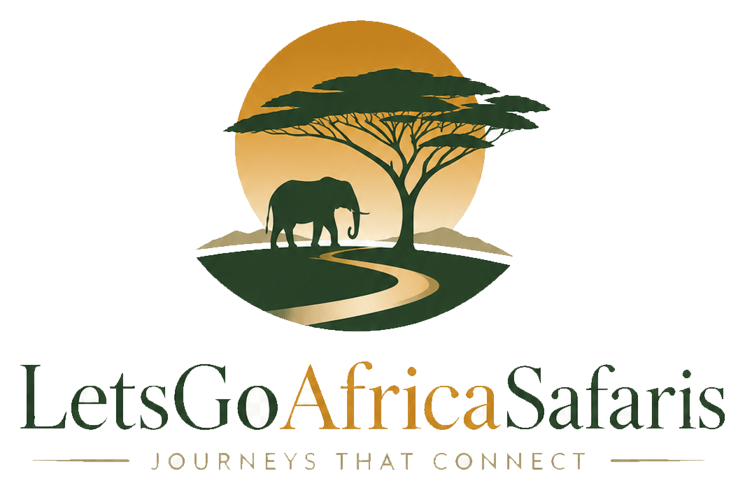 LetsGoAfricaSafaris logo