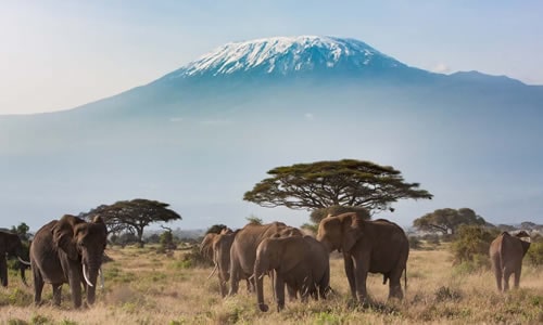 amboseli national park