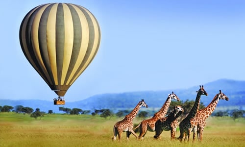 baloon safaris