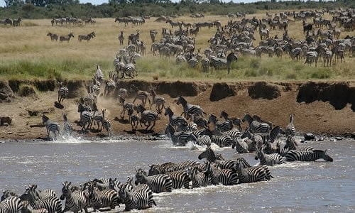 masai mara game reserve