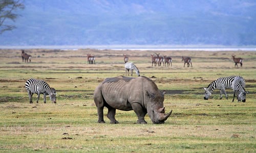 ngorongoro crater national park